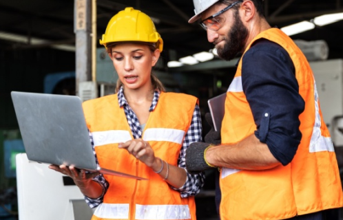 Inspection Management Software Development