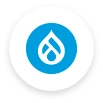 Hire Drupal Developers