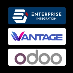ERP (Enterprise Resource Planning) and Integration